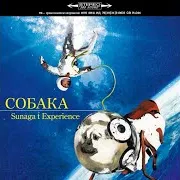 An Announcement For Coбaka (Crouka)